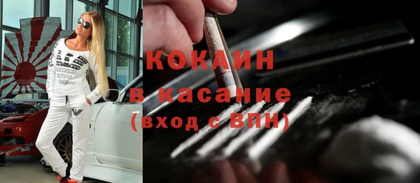шишки Алексин