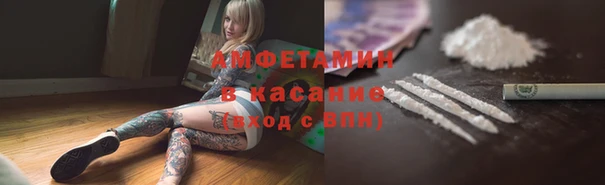 шишки Алексин