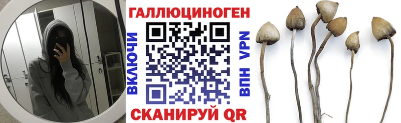 блэк спрут зеркало  Нижние Серги  Псилоцибиновые грибы прущие грибы 
